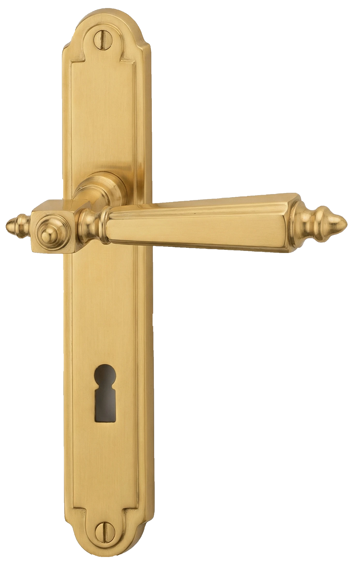 Detailaufnahme eines Messing Türgriffs